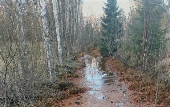 Rautapitoista vettä Saarisenojalla